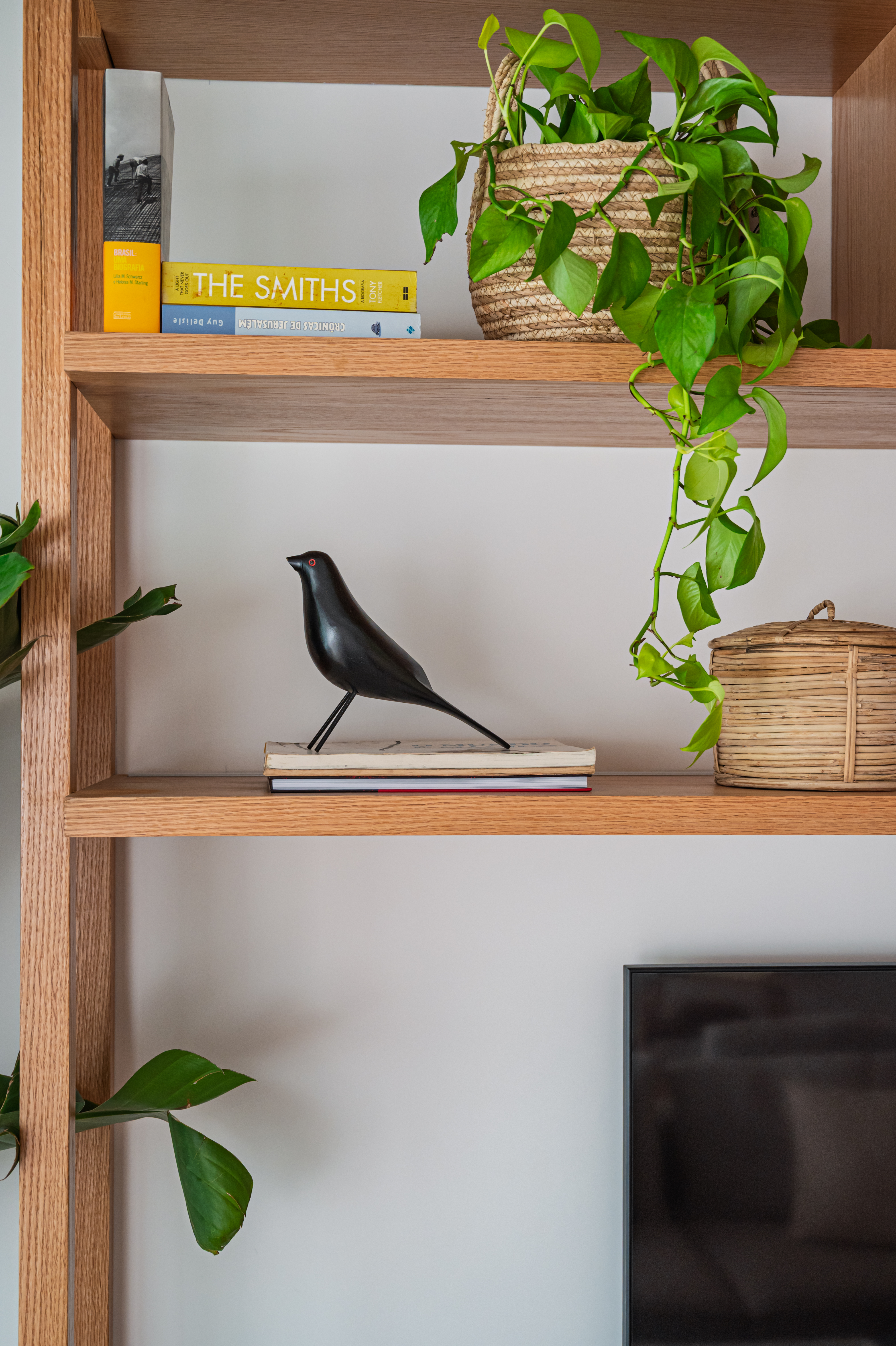 Apartamento Laranjeiras 3